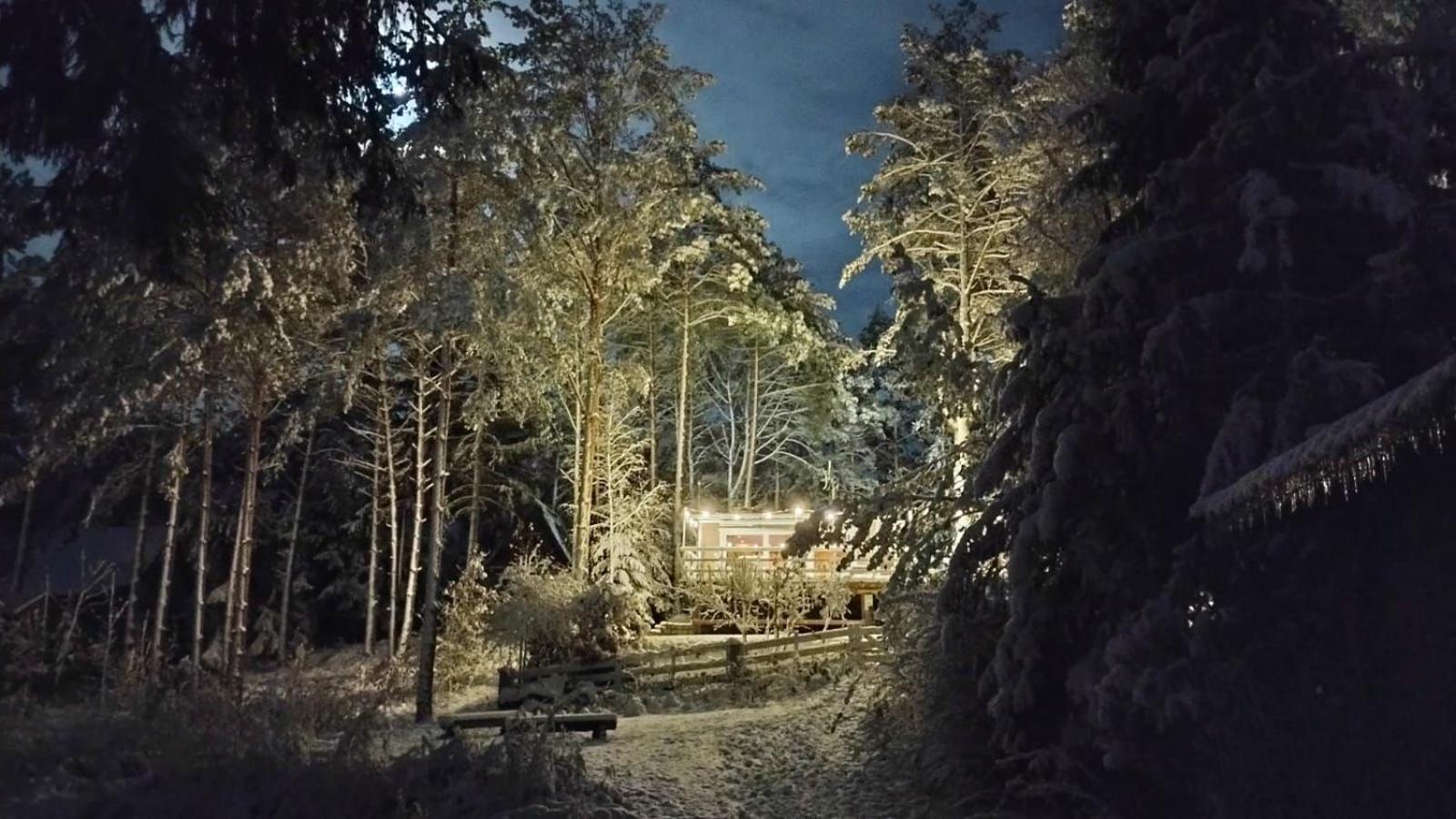 ボングリコビツェ Sosnowy Azylヴィラ エクステリア 写真
