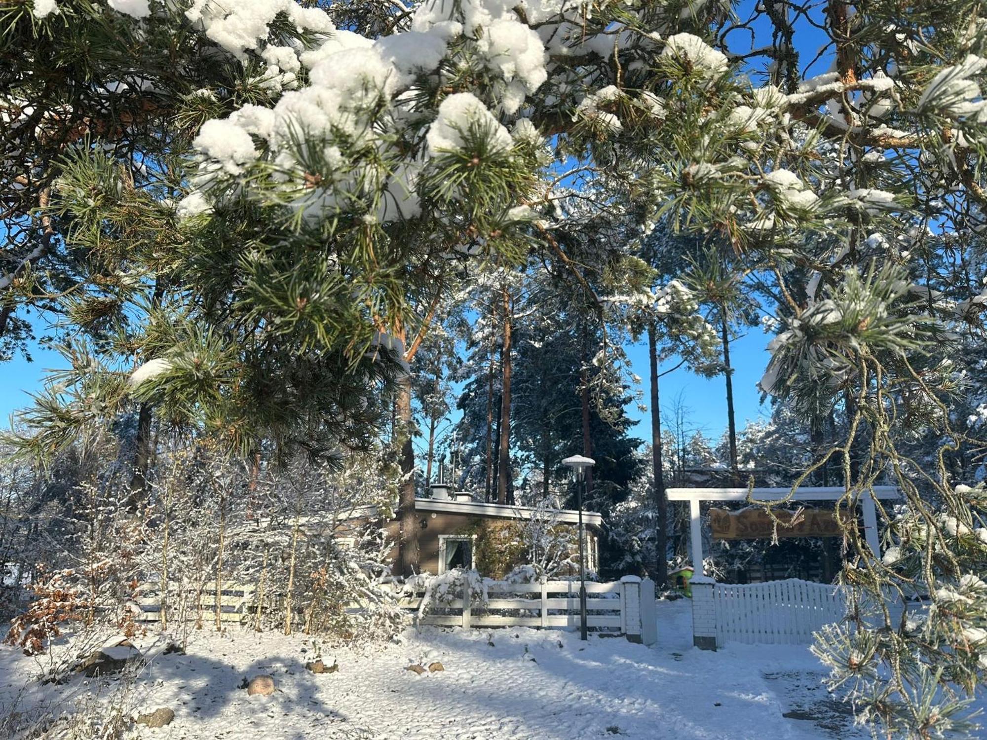 ボングリコビツェ Sosnowy Azylヴィラ エクステリア 写真